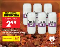 Biedronka Wkład olejowy do zniczy Lumia oferta