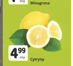 Marketvita Cytryny oferta