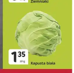Marketvita Kapusta biała oferta