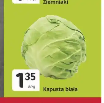 Marketvita Kapusta biała oferta