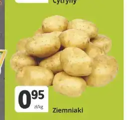 Marketvita Ziemniaki oferta