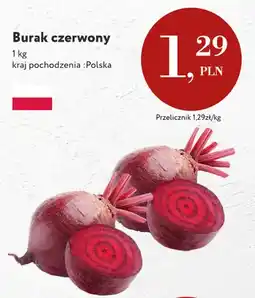 Market Point Buraki czerwone polskie oferta