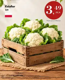 Market Point Kalafior oferta