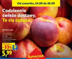 Lidl Nektarynki luzem Ryneczek Lidla oferta
