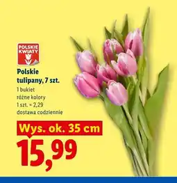 Lidl Tulipany polskie Polskie Kwiaty 7-pak oferta