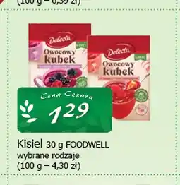 Cezar Delikatesy Kisiel Owocowy Kubek Delecta Foodwell oferta