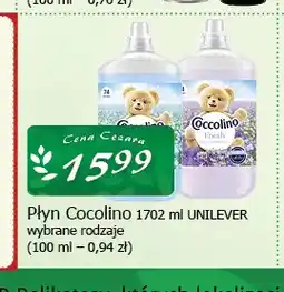 Cezar Delikatesy Płyn do płukania Coccolino Unilever oferta