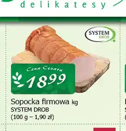Cezar Delikatesy Sopocka firmowa System Drob oferta