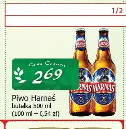 Cezar Delikatesy Piwo Harnaś oferta