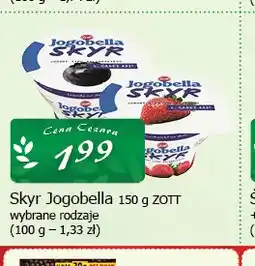 Cezar Delikatesy Skyr Jogobella Zott oferta