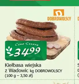 Cezar Delikatesy Kiełbasa wiejska z Wadowic Dobrowolscy oferta