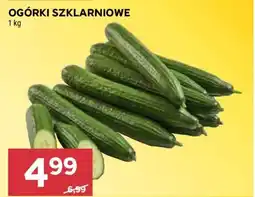 Stokrotka Market Ogórki szklarniowe oferta