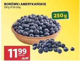 Stokrotka Market Borówki amerykańskie oferta