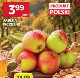 Stokrotka Market Jabłka wczesne oferta