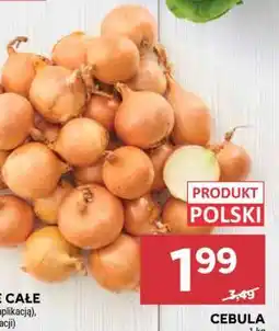 Stokrotka Market Cebula oferta