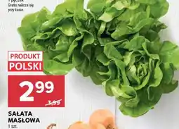 Stokrotka Market Sałata masłowa oferta