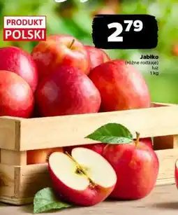Netto Jabłko oferta