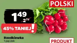 Netto Rzodkiewka oferta