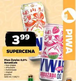 Netto Piwo Żywiec 0,0% Botanicals oferta