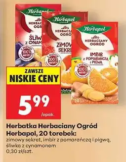 Biedronka Herbatka Herbaciany Ogród Herbapol 20 torebek oferta