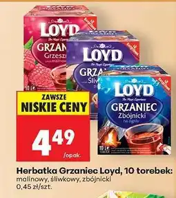 Biedronka Herbatka Grzaniec Loyd, 10 torebek oferta