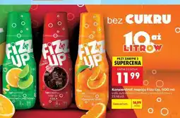 Biedronka Koncentrat napoju Fizz Up, 500 ml oferta