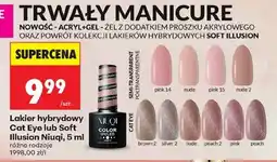 Biedronka Lakier hybrydowy Cat Eye lub Soft Illusion Niuqi, 5 ml oferta