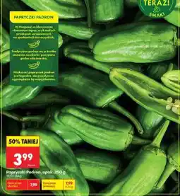 Biedronka Papryczki Padron opak . 250 g oferta