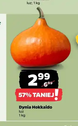 Netto Dynia oferta