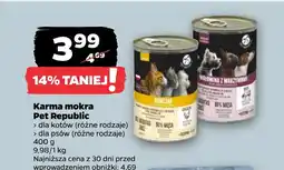 Netto Mokra karma dla kota Pet Republic oferta
