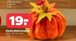 Netto Dynia oferta