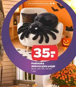 Netto Poduszka dekoracyjna oferta