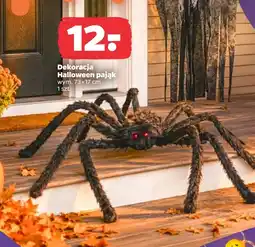 Netto Dekoracja halloween Halloween oferta