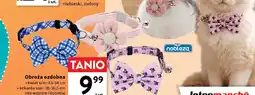 Intermarche Obroża ozdobna kokarda szer. 20-30,5 cm Nobleza oferta
