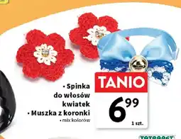 Intermarche Muszka z koronki oferta