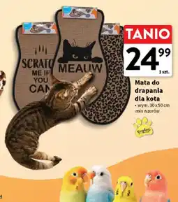 Intermarche Mata do drapania dla kota 30x50 cm Kingdom oferta