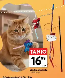 Intermarche Wędka dla kota oferta