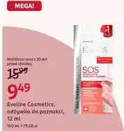 Rossmann Eveline Cosmetics, odżywka do paznokci oferta