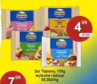 Ser Topiony Hochland wybrane rodzaje