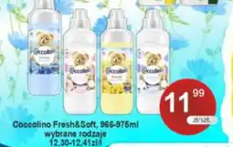 Rabat Coccolino Fresh&Soft oferta