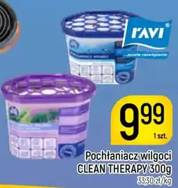 Delikatesy Piotruś Pan Pochłaniacz wilgoci CLEAN THERAPY oferta