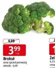 Brokuł
