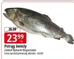 E.Leclerc Pstrąg świeży oferta