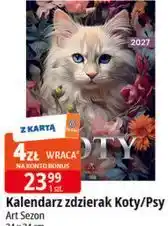 E.Leclerc Kalendarz zdzierak Koty/Psy Art Sezon oferta