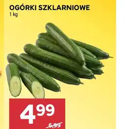 Stokrotka Market Ogórki oferta