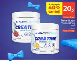 Dealz Monohydrat kreatyny w proszku Allnutrition Creatine Muscle Max Orange oferta