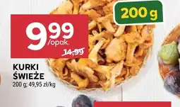 Stokrotka Market Kurki oferta