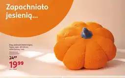 Rossmann Poduszka dekoracyjna Dynia 30x40 cm Eloy oferta