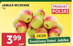 Stokrotka Jabłka Polski oferta