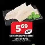 Delfin Dorsz świeży brzuszki oferta